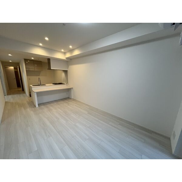 Draw上本町15階1LDK 部屋②の画像